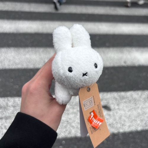 みっふぃーおたんじょうびおめでとう(この子はうさぎです)