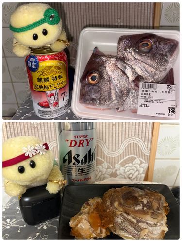 真鯛のアラがそこそこ安くで売っていたので　買ってきて　あら炊きにしてみまちたよ🐟
ズッちゃん　あら炊き大好きなのでちゅ❤️❤️❤️
作りながら飲んで　ひと晩寝かせて次の日に食べまちたよっ😋👍🏻
ズッちゃんあら炊きは砂糖は入れずにめんつゆとかの出汁だけで炊くのが好きでちゅ‼️
そしてにこごりがまたたまんないのでちゅ〜😍🐢✨