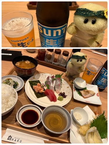 行ってみたかった『和DINING-HAKU(白)』に行ってきまちた‼️今回はお料理のお写真を2回に分けて投稿しまちゅね❣
まずは1/2回目のお写真でちゅ😍
なにはともあれ　ビールは忘れずに頼まなきゃでちゅからねっ🍺🐢✨