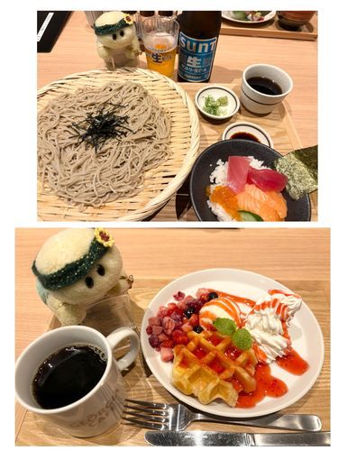 『和DINING-HAKU(白)』2/2回めのお写真でちゅ❣
ここのお蕎麦は十割蕎麦なのでちゅ😋😋😋
あ！珍しくデザートがありまちゅけど　これはお兄ワンが頼んだやつでちゅよ😍👍🏻🐢