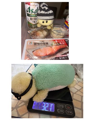 上　主のお母さんところでご飯を食べた時のお写真でちゅ🍚🥢
下　ぴーしゃんところで体重測定していたのを見てズッちゃんも真似して体重測定してみまちた🐢
32㌘でちた😍