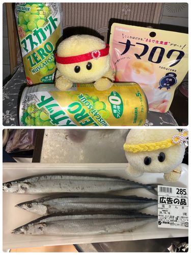 上　新しいお酒とファーファちゃんが教えてくれたグミ　ナマロワを見つけたので買ってみまちた‼️
下　生秋刀魚は高いでちゅけど塩秋刀魚はそこそこで買えたので買ってきまちたよ🐟‼️🐢
ちなみに秋刀魚は頭から骨まで全部食べる派でちゅ😍👍🏻
