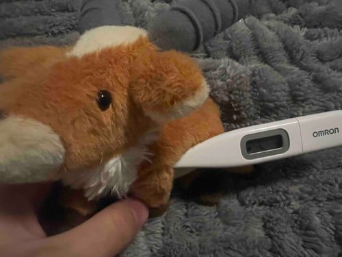 ヤックル自分で挟めないからお熱測って貰った🦌