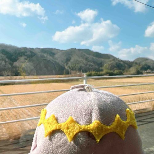 山山山