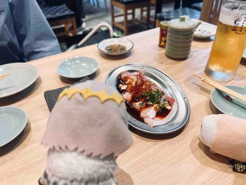 オサシミ　だ❗️