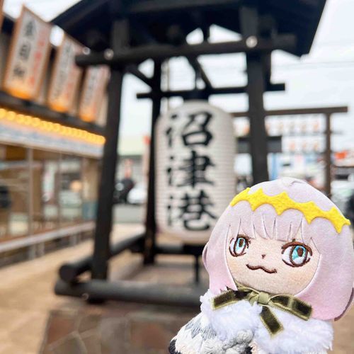 ｼｽﾞｵｶ‼️