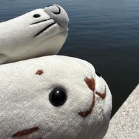 こめたろう