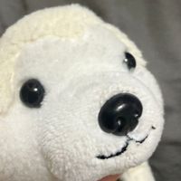 ためえもん