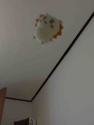 シーサーちゃんですよ。シーサーちゃんは高いところあんまり好きじゃないです。