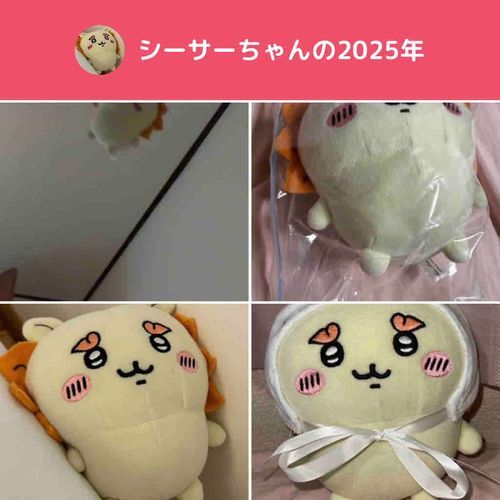 シーサーちゃんの軌跡2025ですよ