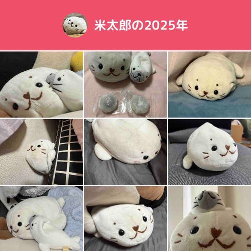 2025も　もちもちでした
