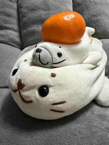 みかん　おも