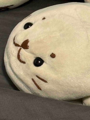 ﾍｹ、、、、