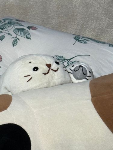 ﾑﾌ