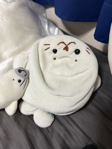 かわいそうなぼく