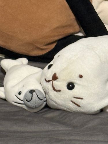 おにいちゃんがのっかってるんじゃなくて　ぼくがおにいちゃんをせおってるんです