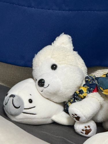 あざらしはまくらじゃないよっ