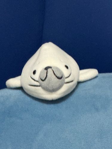 ｼｮｳﾛﾝﾎﾟｰみたいな　ぼく