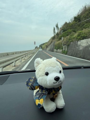 フフン✨　ﾌﾞｰｲってね🚗💨