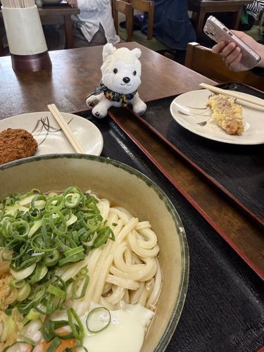 たまちゃんとおうどん🎶