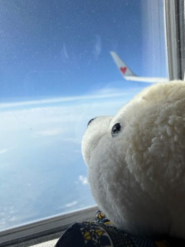 おそら　ぴかぴかだ〜✨
