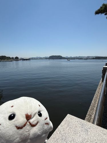 ぴかぴかの　うみ‼️