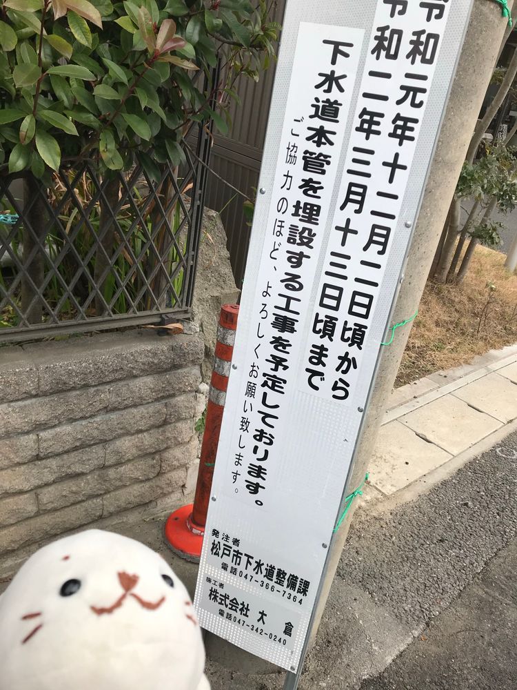 むさしに出会うちょくぜんのぼく