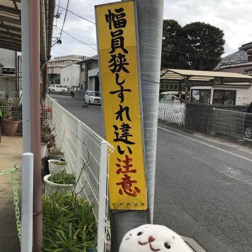 むさしに出会うちょくぜんのぼく