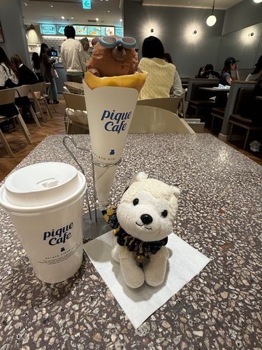 🐻さんだ❣️
