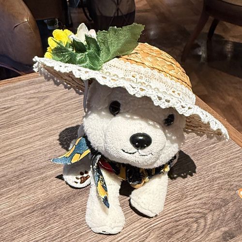 デザフェスにいっておぼうしかったんだよ✨☀️