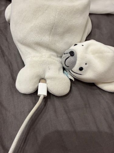 タイプC充電🔋
