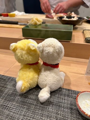 ﾀｲｼｮｰのおすし　かれいなてさばき✨