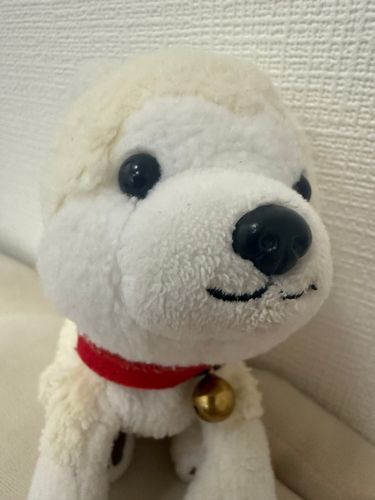 ためちゃんも　きょうのわんこ　でるも〜ん