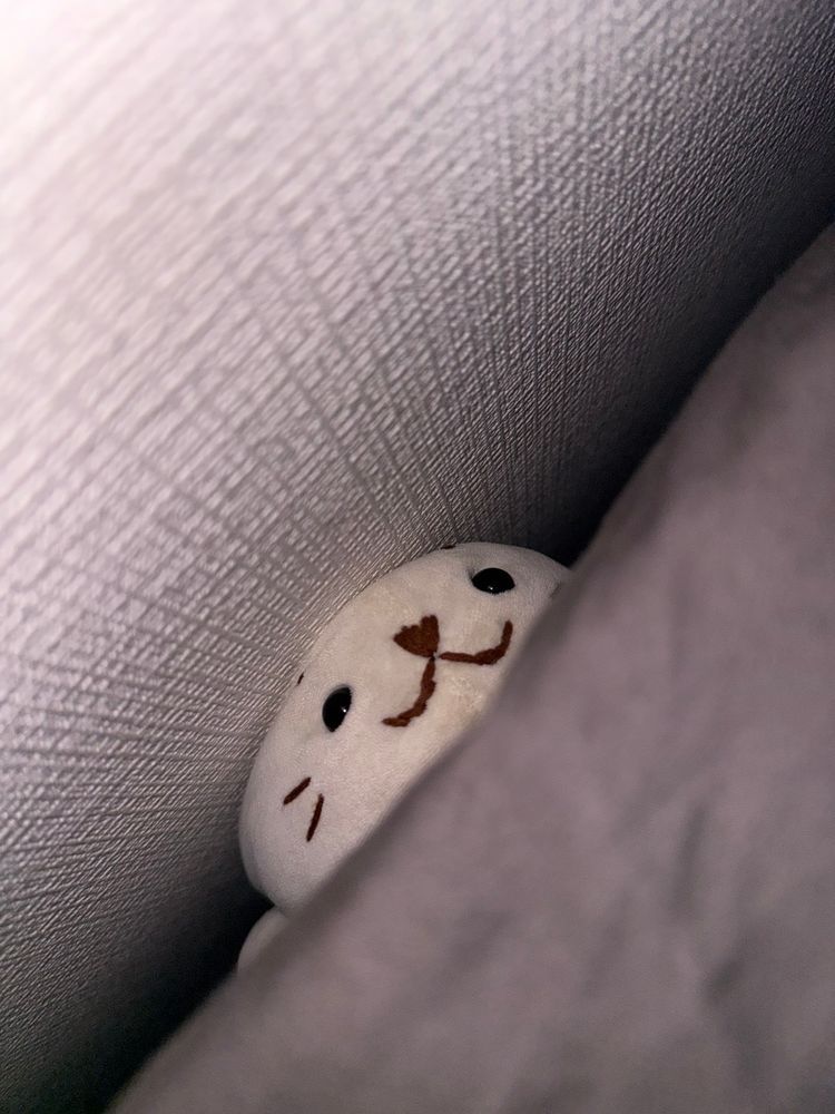 たすけて〜