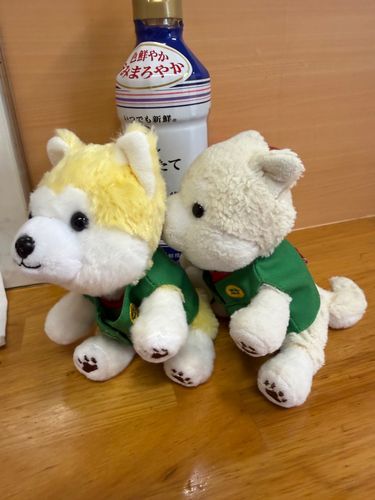 おようふくもおそろっち