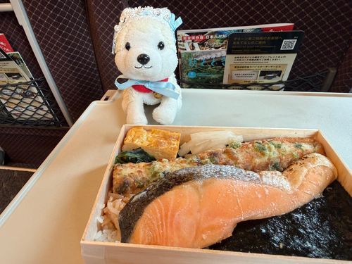 🍱✨