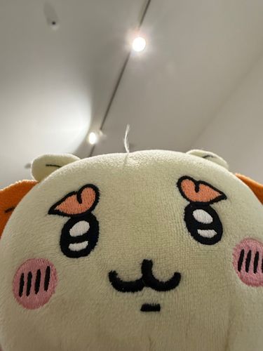 えへ　まえがみ