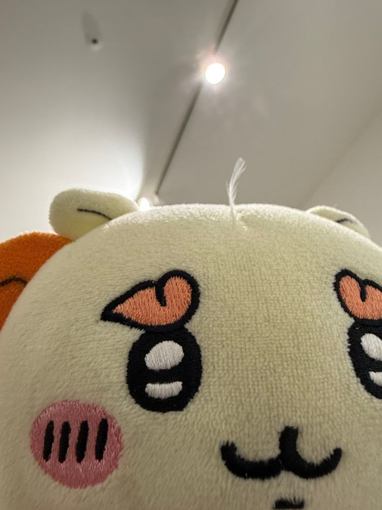 えへ　まえがみ