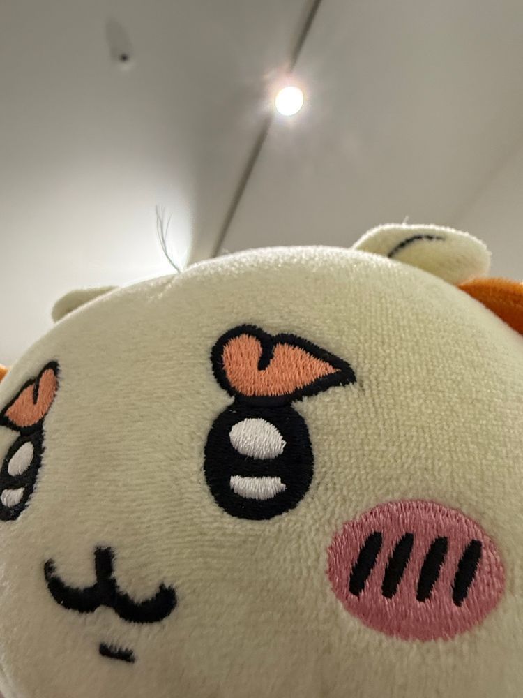 えへ　まえがみ