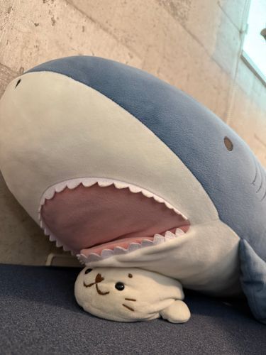 弟のこめすけだよ　いっぱい食べるからおっきくなったんだ〜