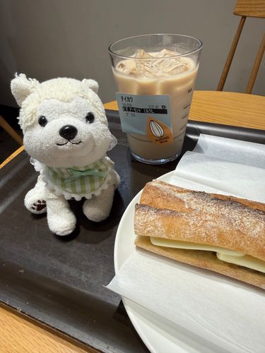 ためちゃんはﾁｰｶﾜじゃないよー😠