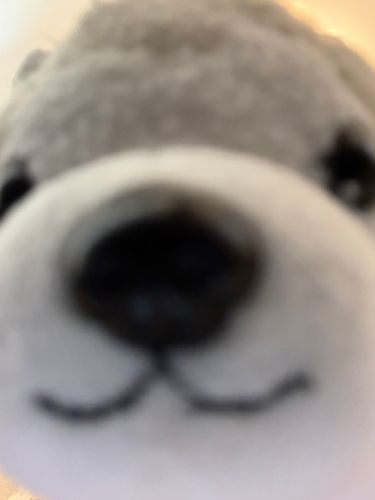 ムフフ　ドアップためちゃん