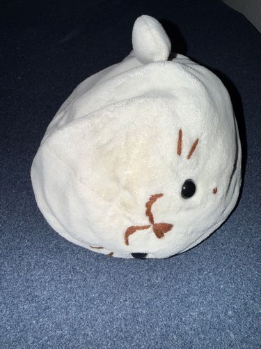 打ち上げられました　あざらしなので