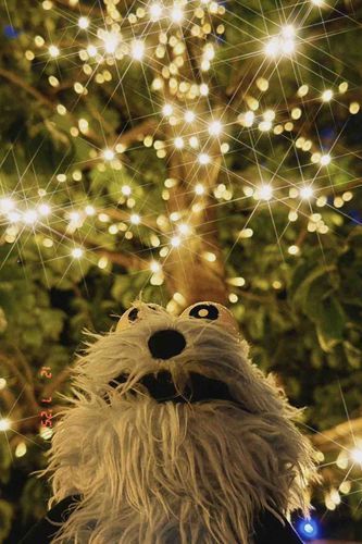 メリークリスマス！（遅い？）