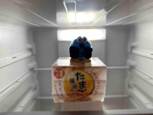 ここ、、どこだろう‥？