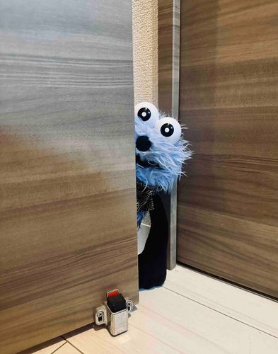 ポップアップにいくの？👀
