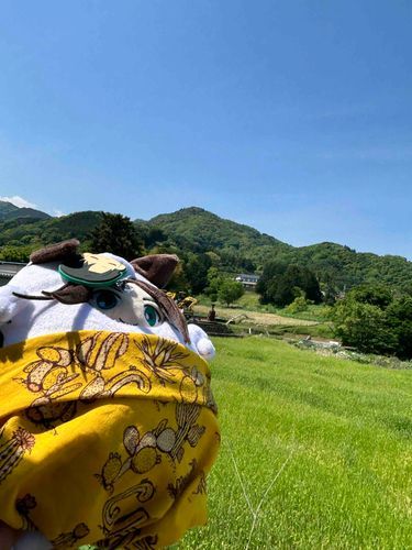初夏だねぇ🌞