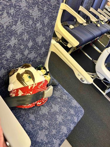 お出かけしてきました✈️