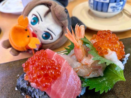おしゅし🍣