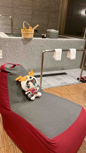 スペシャルサウナルームに来た🐶